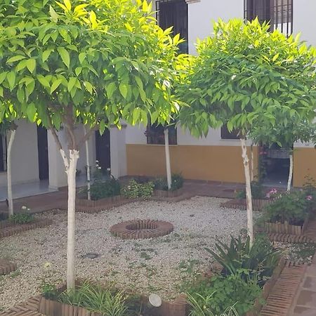 Precioso Apartamento Junto A Plaza La Corredera Cordova Esterno foto