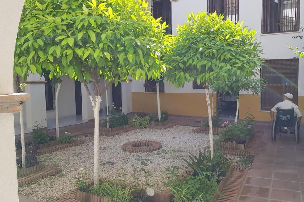 Precioso Apartamento Junto A Plaza La Corredera Cordova Esterno foto
